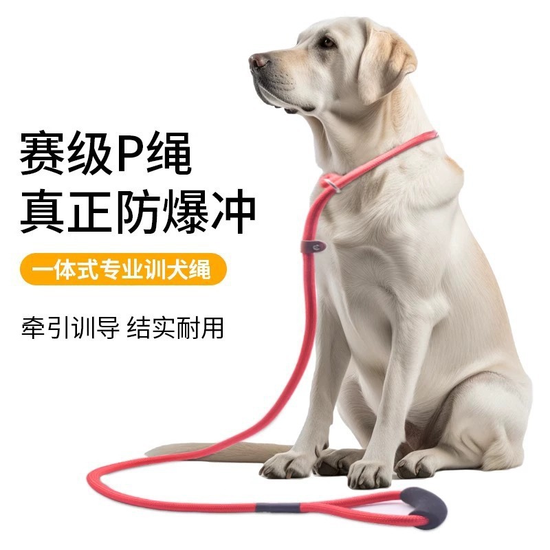 狗狗牵引绳狗绳链子p绳遛狗牵狗绳宠物小型犬中型犬防爆冲批发